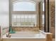 Bathroom featuring a soaking tub under an arched window, and decorative tile details at 2307 Candleglow St, Castle Rock, CO 80109