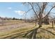 Expansive backyard with mature trees and a lush green lawn at 4929 W 73Rd Ave, Westminster, CO 80030