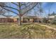 Charming home featuring a mature tree in the front yard with manicured lawn and brick accents at 1261 S Harrison St, Denver, CO 80210