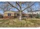 Charming brick home featuring a mature tree in the front yard with manicured lawn and seating on the front porch at 1261 S Harrison St, Denver, CO 80210