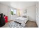 Cozy bedroom features a large window, soft carpet, and stylish decor at 4 Mountain Ash, Littleton, CO 80127