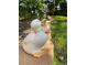Quaint duck statues adorning the outdoor garden, adding a touch of whimsy and charm to the landscape at 8705 W 86Th Dr, Arvada, CO 80005