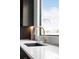 Kitchen sink featuring elegant fixtures, stone countertops, and natural light at 3112 Braun Ct, Golden, CO 80401