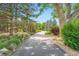 Long driveway lined with mature trees and landscaping leads to this secluded property at 8576 Niwot Meadow Farm Rd, Niwot, CO 80503