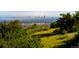 Scenic view of city skyline, nestled within a green landscape with natural foliage and vegetation at 10978 Ashurst Ln, Highlands Ranch, CO 80130
