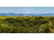 Expansive mountain view with a backdrop of snow-capped peaks, seen over rolling hills and natural growth at 10978 Ashurst Ln, Highlands Ranch, CO 80130