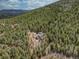 Overhead aerial view of the house nestled among the trees in a lush forest landscape at 31932 Steven Way, Conifer, CO 80433
