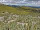 Expansive aerial view of a serene mountain retreat, showcasing lush forests, distant mountains, and a peaceful setting at 31932 Steven Way, Conifer, CO 80433