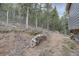 View of the landscaped backyard featuring stacked firewood next to the house at 31932 Steven Way, Conifer, CO 80433