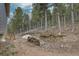 Landscaped backyard with stacked firewood near a fenced perimeter at 31932 Steven Way, Conifer, CO 80433