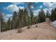 Landscaped yard with trees and a distant shed at 31932 Steven Way, Conifer, CO 80433