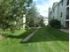Well-maintained backyard featuring lush green grass and a pathway that leads to other units at 6705 S Field St # 802, Littleton, CO 80128