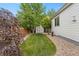 Landscaped backyard with green grass, trees, and shed in background at 4545 Oxbow Dr, Brighton, CO 80601