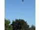 Scenic view of a hot air balloon floating over lush green trees at 15545 Lipan St, Broomfield, CO 80023