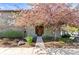 Lovely house adorned with a blooming tree, enhancing curb appeal at 9804 Martin Luther King Blvd, Denver, CO 80238