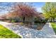Inviting home featuring lush landscaping and mature trees at 9804 Martin Luther King Blvd, Denver, CO 80238