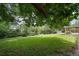 Serene backyard with lush green lawn and mature trees, offering privacy and a peaceful outdoor retreat at 10961 Gray Cir, Westminster, CO 80020