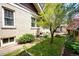 Inviting backyard featuring a manicured lawn, privacy fence, and mature tree for shaded relaxation at 780 N Franklin St, Denver, CO 80218