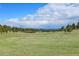 Beautiful expansive green pasture with mature trees and stunning mountain views in the distance at 5166 Bear Mountain Dr, Evergreen, CO 80439