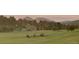 A wide open meadow with a herd of elk is backed by rolling hills and towering pine trees at 5166 Bear Mountain Dr, Evergreen, CO 80439
