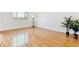 Bright living room with hardwood floors, large window, and minimalist decor, bathed in natural light at 7158 W Roxbury Ave, Littleton, CO 80128
