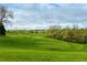 Scenic golf course view, showcasing green fairways, mature trees, and rolling hills at 8073 S Albion St, Centennial, CO 80122