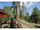 Wooded backyard area behind a cabin home with a large deck and mature trees at 8624 S Doubleheader Ranch Rd, Morrison, CO 80465