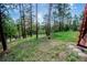 Lush backyard with tall pine trees creating a private and serene setting at 8624 S Doubleheader Ranch Rd, Morrison, CO 80465