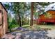 Exterior view of a cabin home highlighting the surrounding tall pine trees at 8624 S Doubleheader Ranch Rd, Morrison, CO 80465