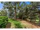 Picturesque backyard with lush greenery and mature trees creating a private oasis at 1480 Sterling Hill Ct, Castle Rock, CO 80104