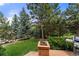Beautiful backyard featuring mature pine trees, lush lawn, and a deck with a barbecue grill at 1480 Sterling Hill Ct, Castle Rock, CO 80104