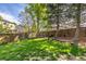Grassy backyard with a wood fence and some trees at 2043 Fendlebrush St, Highlands Ranch, CO 80129