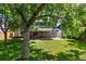Spacious backyard featuring a large shade tree, lush lawn, and covered patio at 5625 W 109Th Cir, Westminster, CO 80020