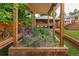 Relaxing backyard featuring a pergola, raised garden beds, and well-maintained landscaping at 4891 Depew St, Denver, CO 80212