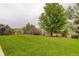 Lush green backyard with mature trees, a well-manicured lawn, and a charming white fence at 5528 Echo Hollow St, Castle Rock, CO 80104