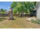 Expansive backyard, showcasing mature trees, ample grass, and a wooden fence for privacy at 1248 W 135Th Ave, Denver, CO 80234