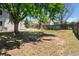 Expansive backyard featuring mature trees and a spacious area for outdoor activities and entertaining at 1248 W 135Th Ave, Denver, CO 80234