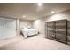 Finished basement bedroom with closet, shelving, and carpet at 8533 S Flower Ct, Littleton, CO 80128