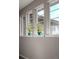 Close-up of three large windows with elegant houseplants on the window sill at 211 Luna Ct, Erie, CO 80516