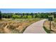 Enjoy the outdoors with this scenic paved walking path near the community's park at 9957 Candlewood Ln, Highlands Ranch, CO 80126