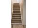 Carpeted staircase leading to the upper level at 19877 E 40Th Ave, Denver, CO 80249