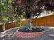 Backyard features a charming seating area nestled beneath a tree, enclosed by a wooden fence at 2548 Foothills Canyon Ct, Highlands Ranch, CO 80129