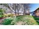 Expansive backyard showcases a generous lawn space, mature trees, and a wooden privacy fence at 921 S Wheeling St, Aurora, CO 80012