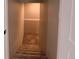Carpeted staircase with a shelf on the wall leading down to the basement at 5550 Wetlands Dr, Longmont, CO 80504