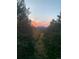 Scenic view of mountains at sunset framed by lush evergreen trees at 27857 Apex Cir, Evergreen, CO 80439