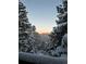 Picturesque winter scene featuring snow-covered trees and a distant mountain range at 27857 Apex Cir, Evergreen, CO 80439