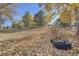 Backyard with fall leaves and a tire at 10212 W 80Th Dr # D, Arvada, CO 80005