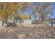 Large backyard with mature trees and fall leaves at 10212 W 80Th Dr # D, Arvada, CO 80005
