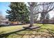 Large backyard features mature trees, green grass, and wooden fence, perfect for outdoor activities at 1360 S Hudson St, Denver, CO 80222