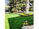 Green backyard with mature trees, landscaped with planter box, and well-maintained lawn at 1360 S Hudson St, Denver, CO 80222